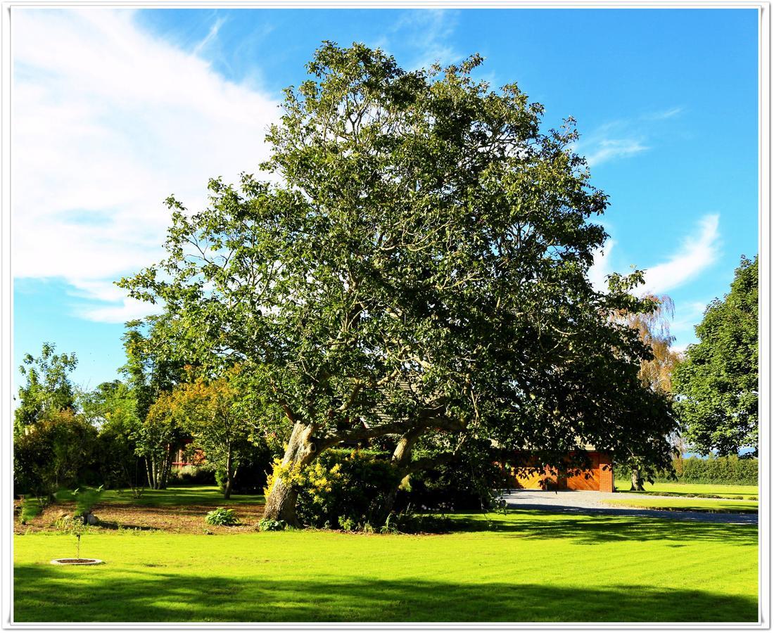 Walnut Lodge B&B Matamata Bagian luar foto