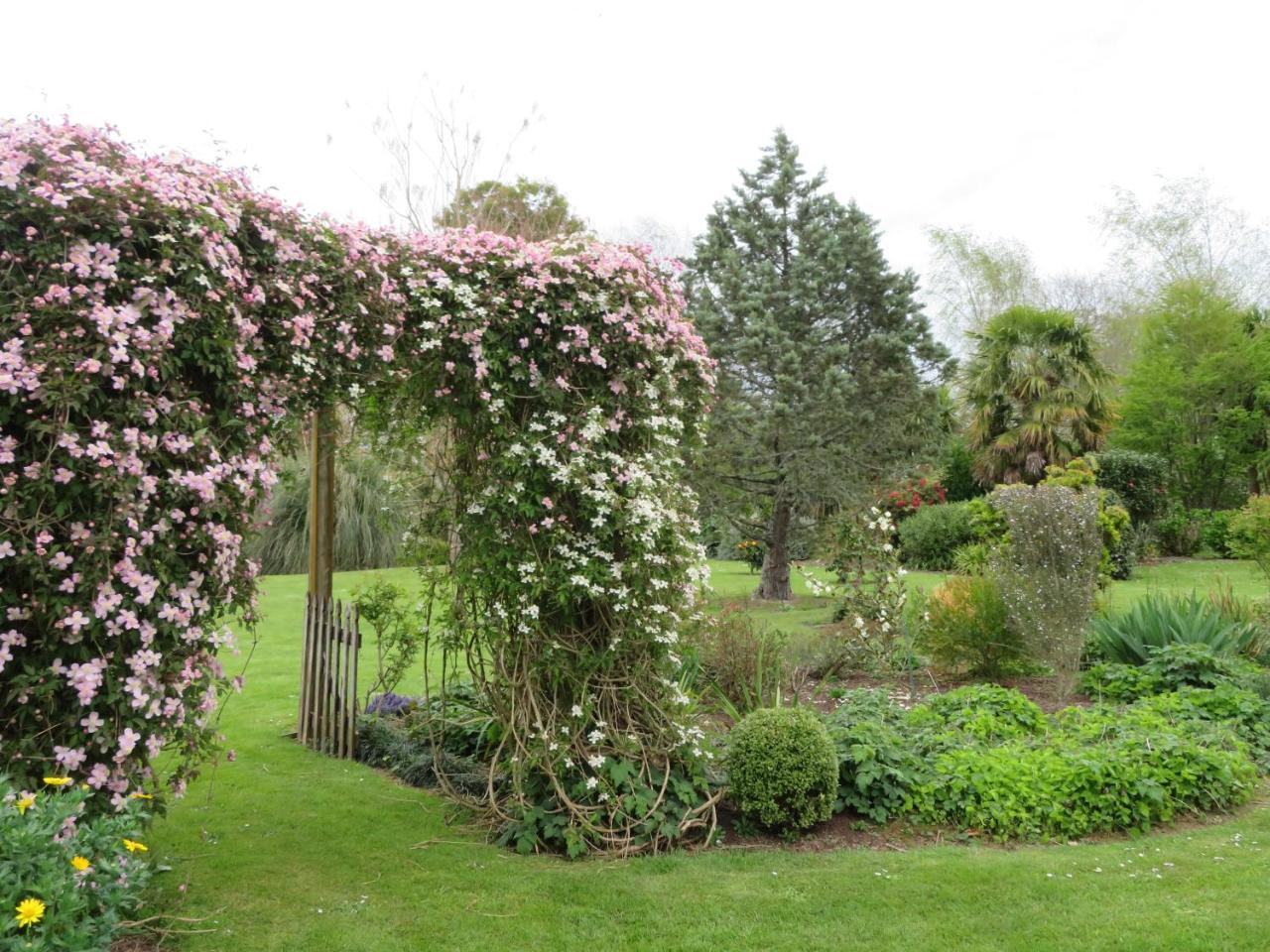 Walnut Lodge B&B Matamata Bagian luar foto